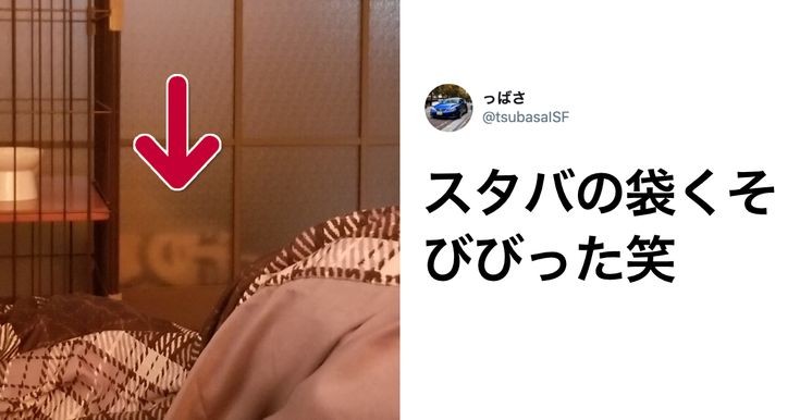 地味に笑える画像トピ