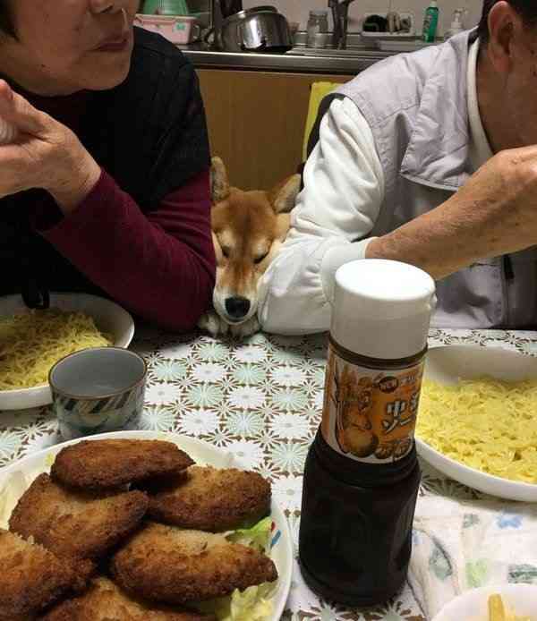 地味に笑える画像トピ