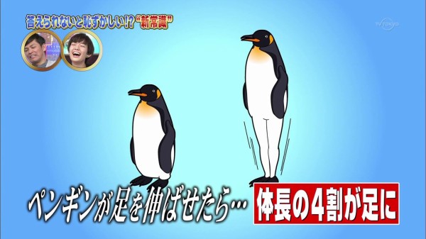 地味に笑える画像トピ
