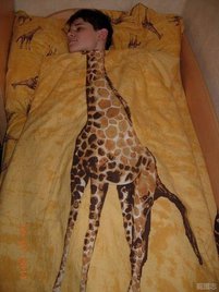 地味に笑える画像トピ