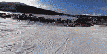 シカが走行中の学校バスに飛び込む、フロントガラス突き破り 米