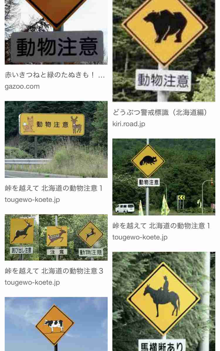 シカが走行中の学校バスに飛び込む、フロントガラス突き破り 米