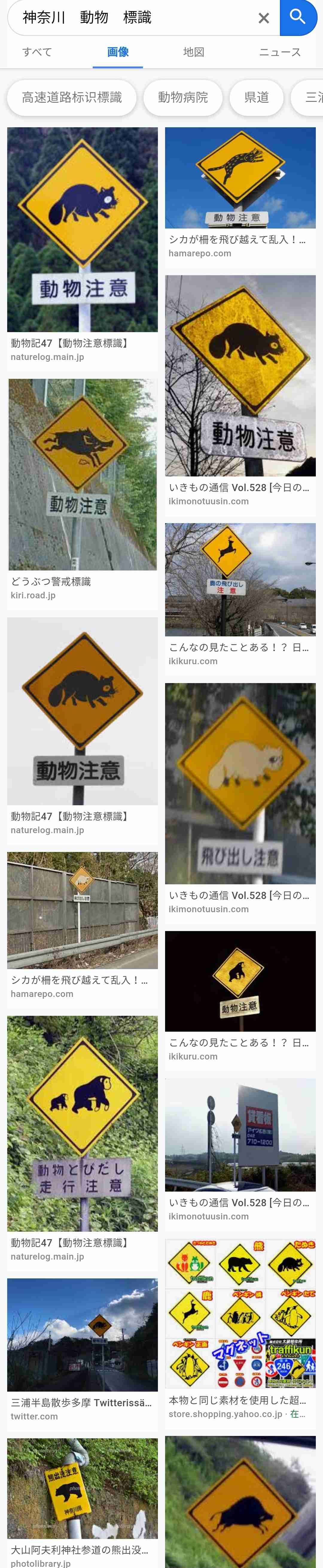 シカが走行中の学校バスに飛び込む、フロントガラス突き破り 米