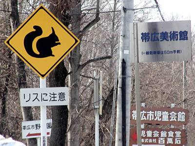 シカが走行中の学校バスに飛び込む、フロントガラス突き破り 米