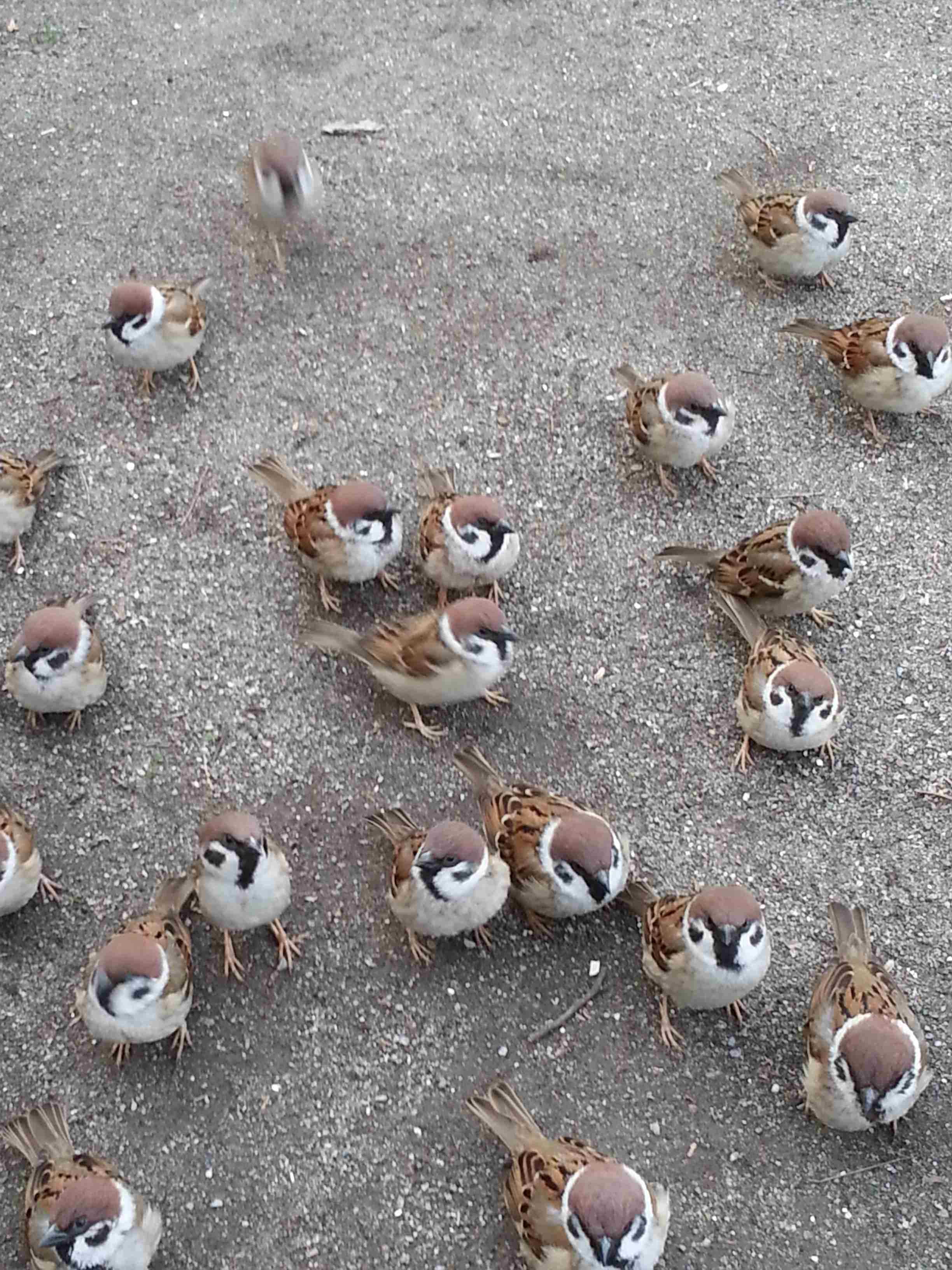 解決しない悩みや問題を抱えている人