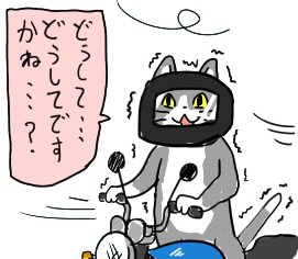 寒がり選手権inガルちゃん