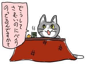 寒がり選手権inガルちゃん