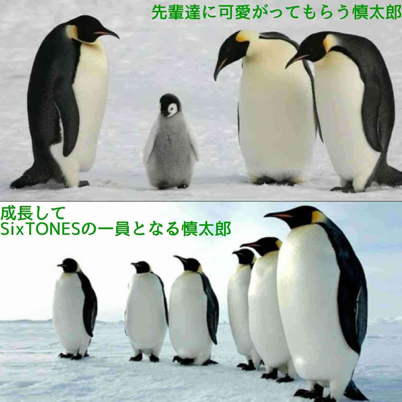 森本慎太郎くんが好きな人Part.1
