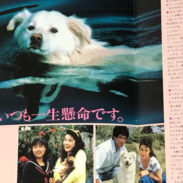 飼い犬にかまれ　男性が意識不明の重体　薩摩川内市・鹿児島
