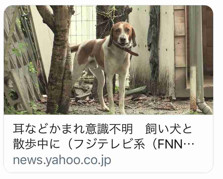 飼い犬にかまれ　男性が意識不明の重体　薩摩川内市・鹿児島