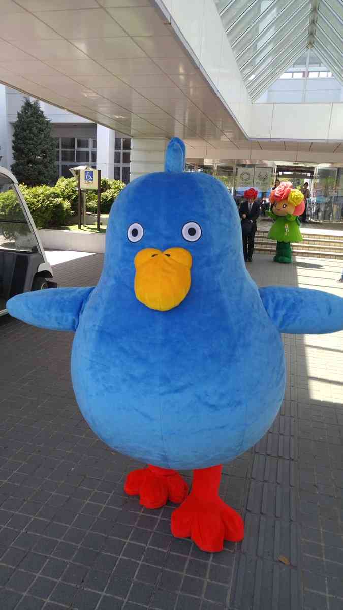 動物の正面顔ください