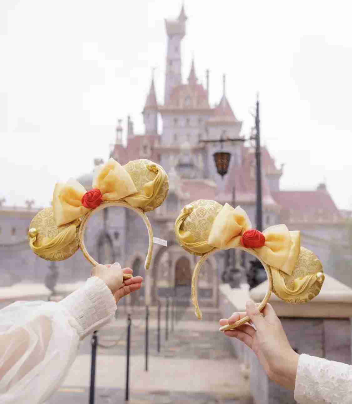 【ディズニー】「美女と野獣」好きな人