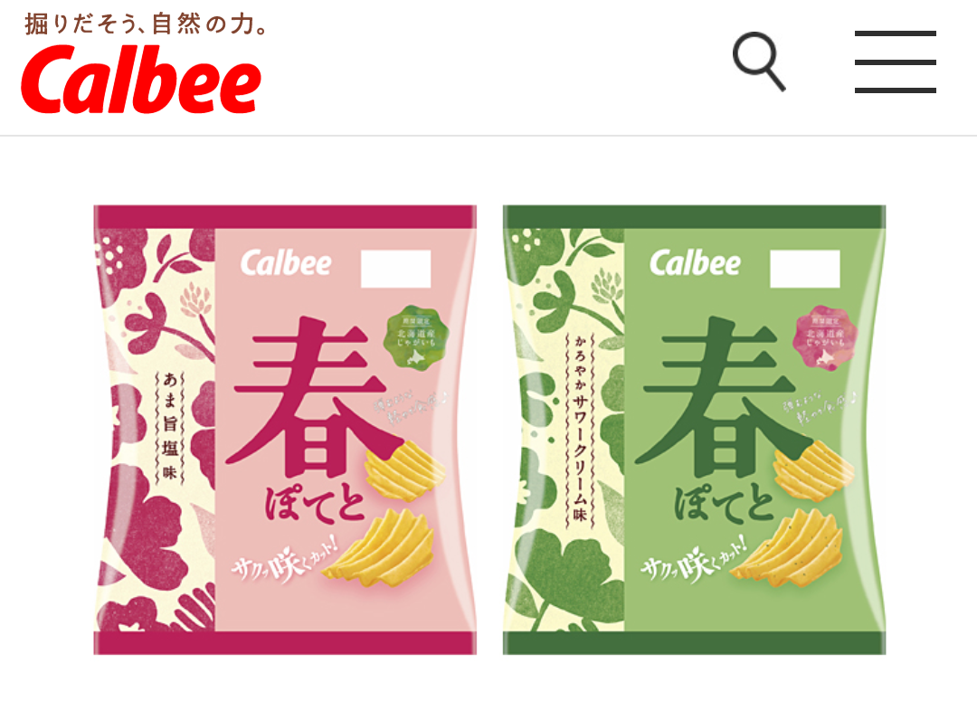 サワークリームオニオン味が好きな人！
