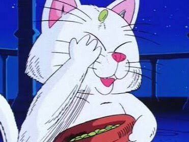 木登りしている動物の画像ください