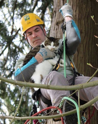 木登りしている動物の画像ください