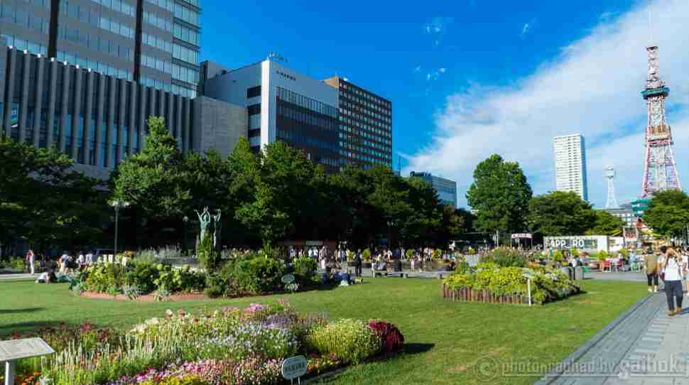 マラソン発着点の札幌・大通公園 芝生除去工事に批判相次ぐ