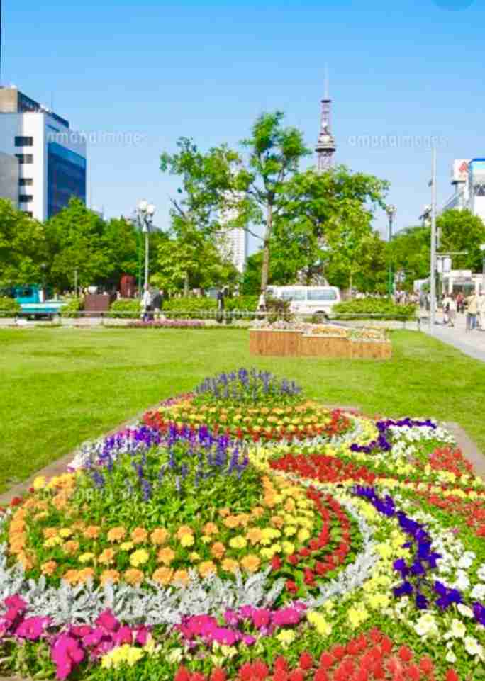 マラソン発着点の札幌・大通公園 芝生除去工事に批判相次ぐ