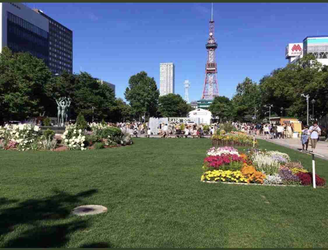 マラソン発着点の札幌・大通公園 芝生除去工事に批判相次ぐ