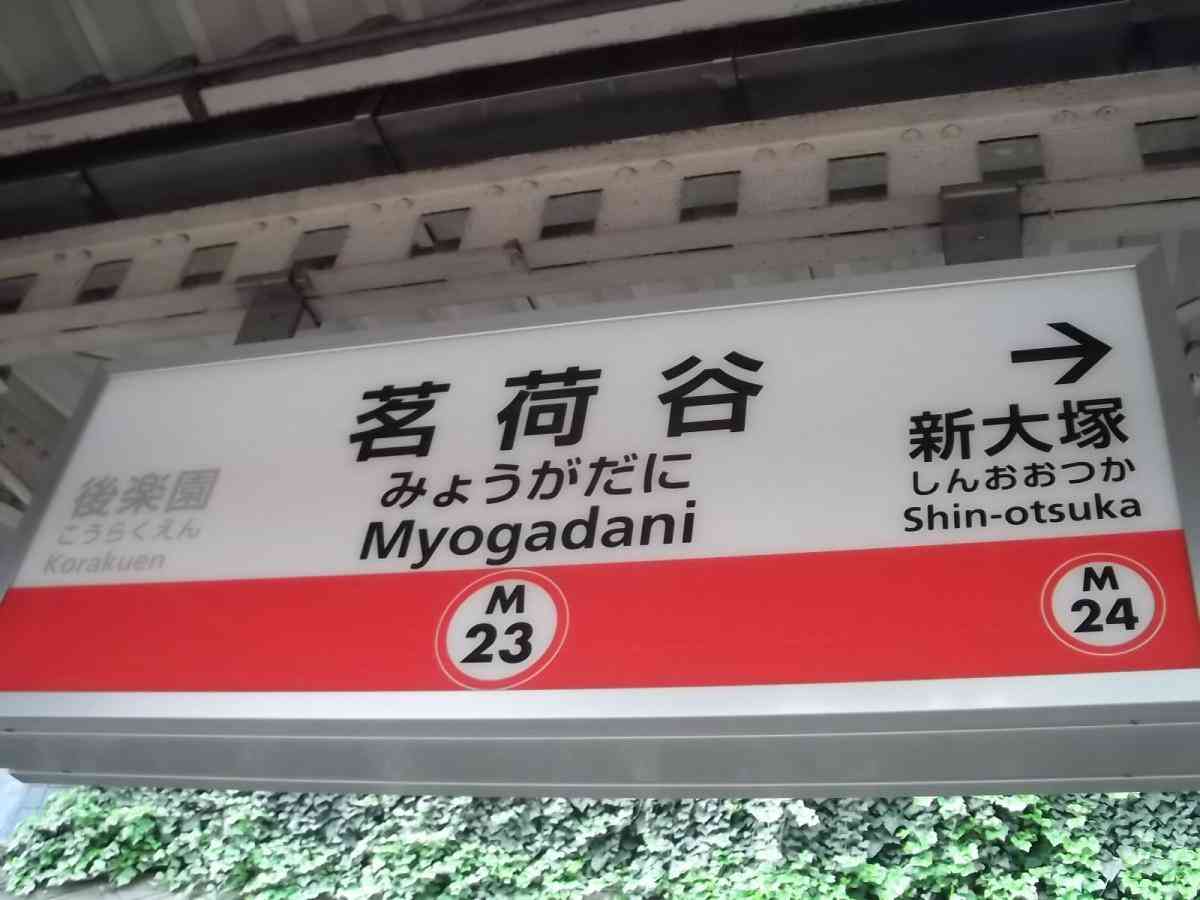 ミョウガを美味しく食べたいの【みょうが・茗荷】