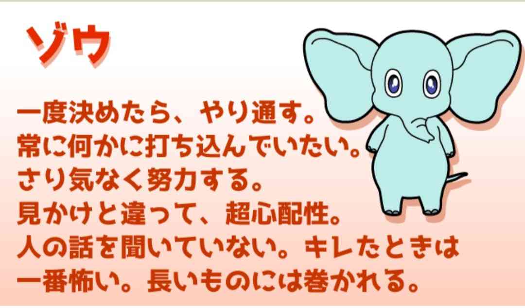 前田敦子、勝地涼との離婚も早すぎる切り替え「やりたいことたくさん」