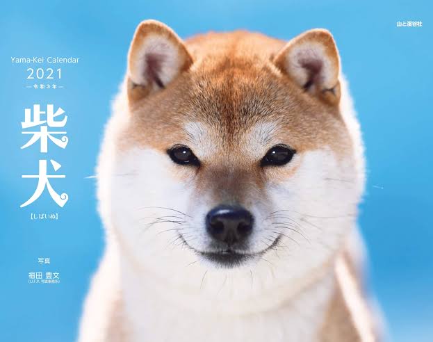 【ペット】あるある【飼い主】
