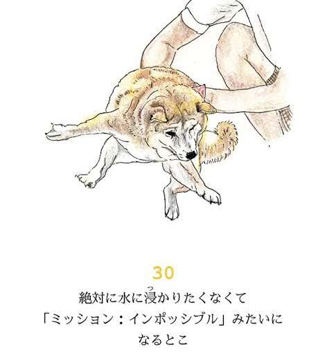 【ペット】あるある【飼い主】