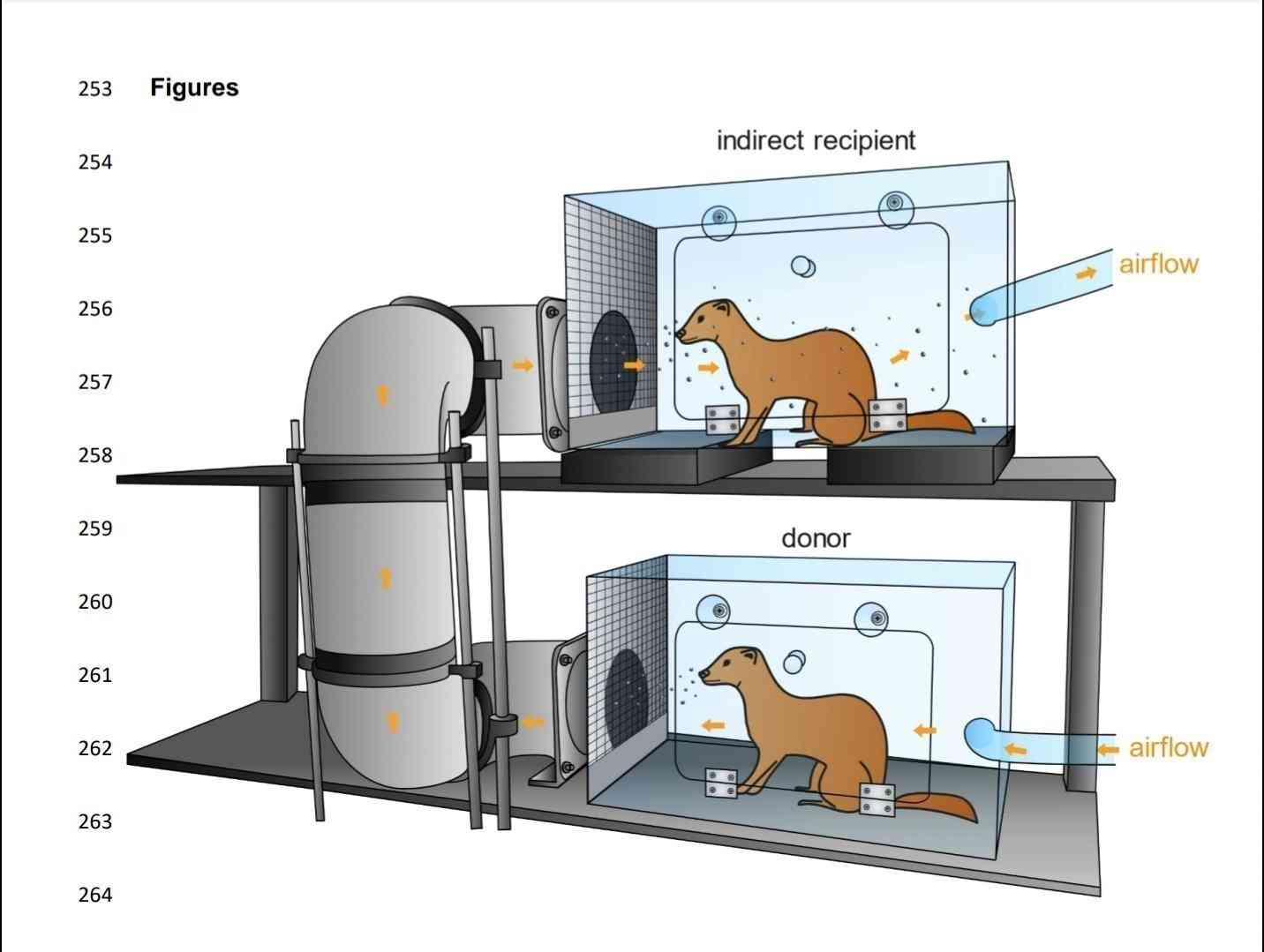 インフルどこいった！？
