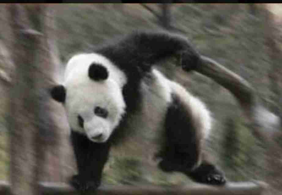 インフルどこいった！？