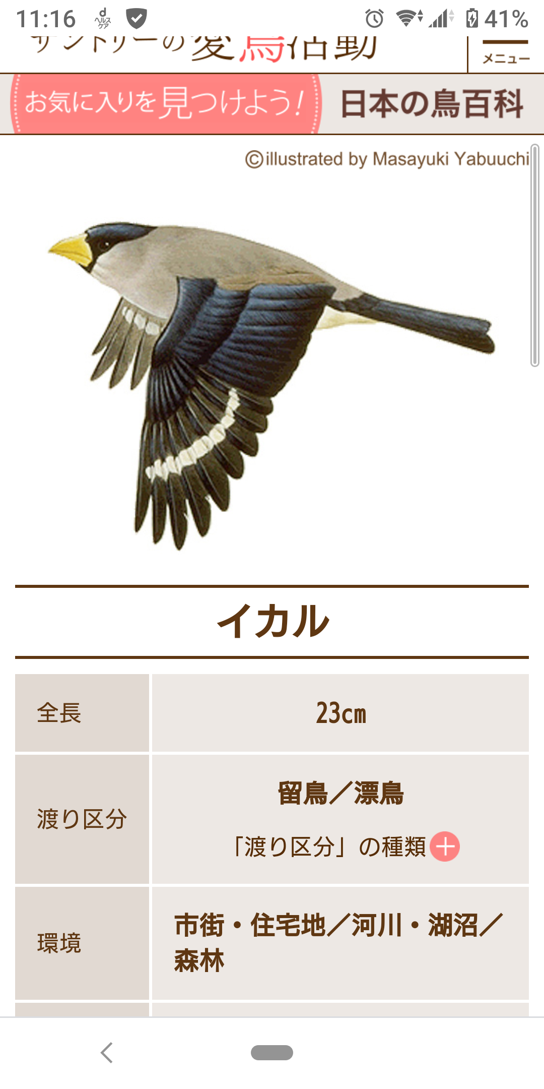 【野鳥、ペット】とにかく鳥好きが集まるトピ