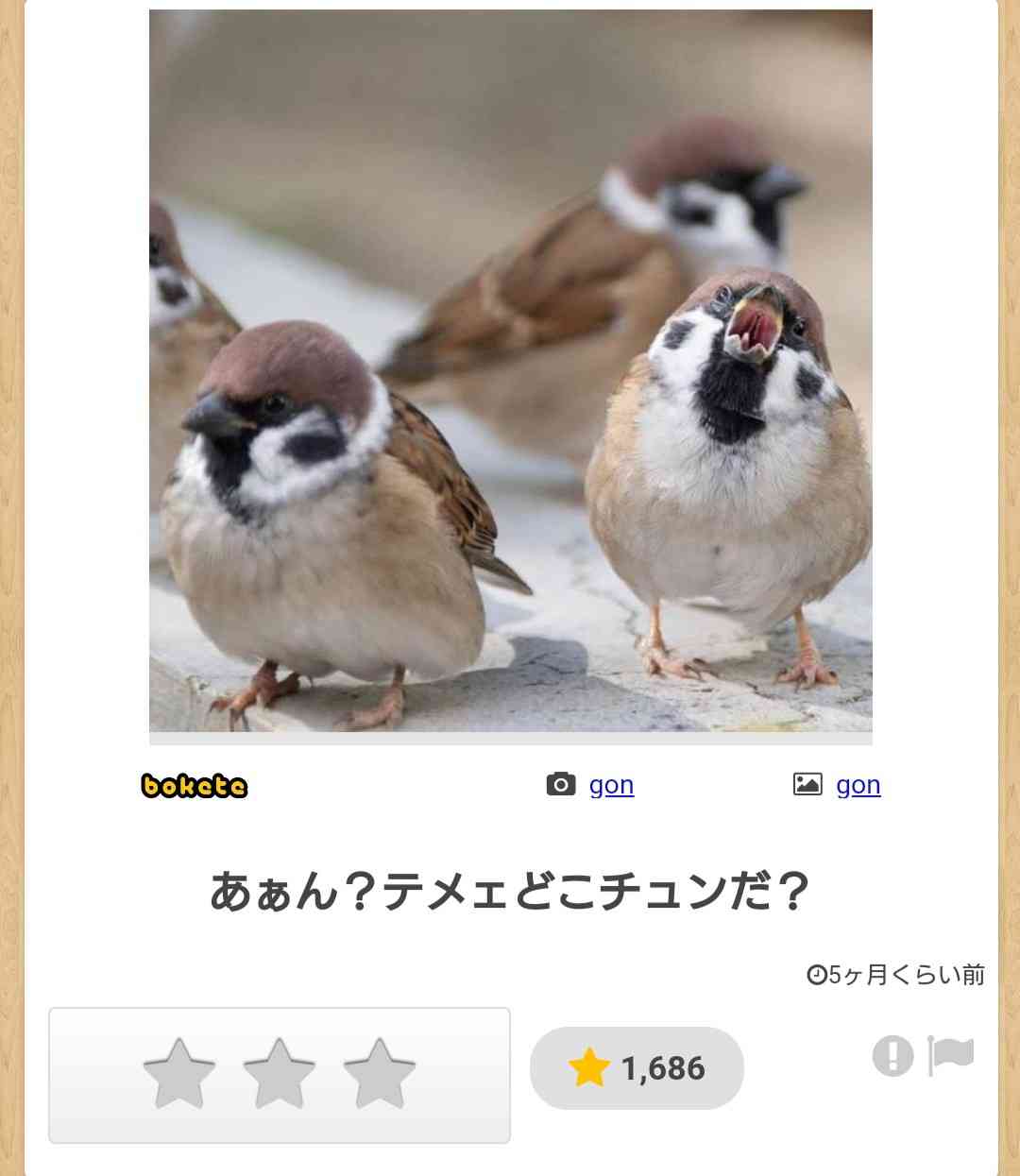 【野鳥、ペット】とにかく鳥好きが集まるトピ