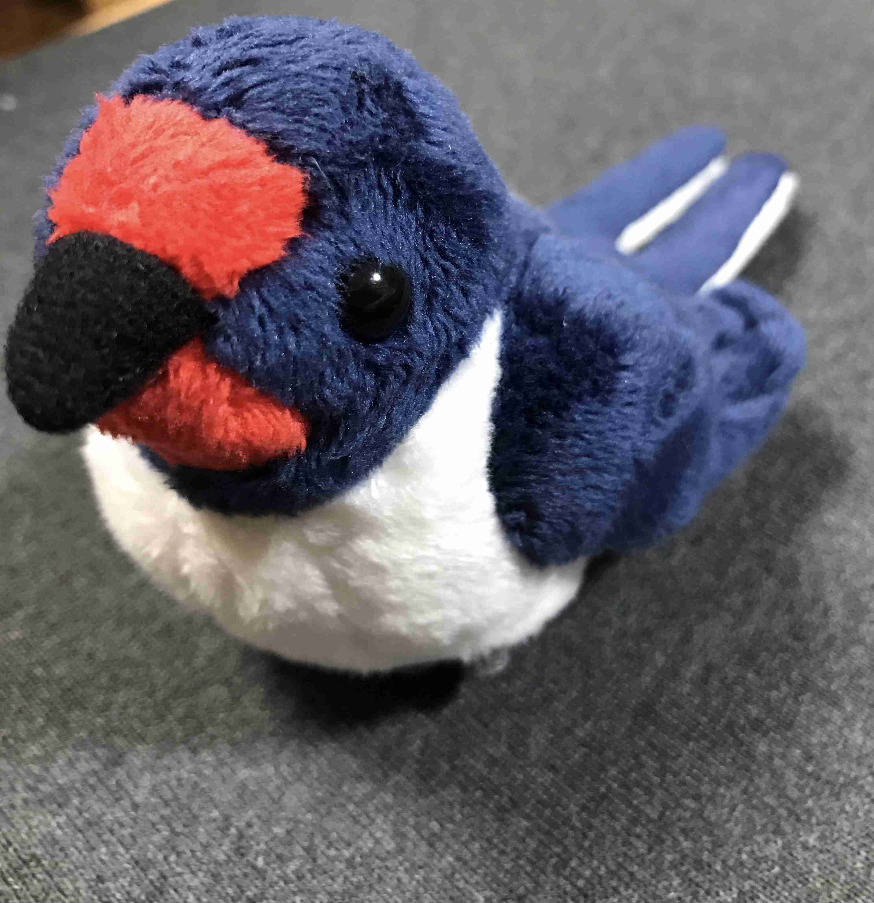【野鳥、ペット】とにかく鳥好きが集まるトピ