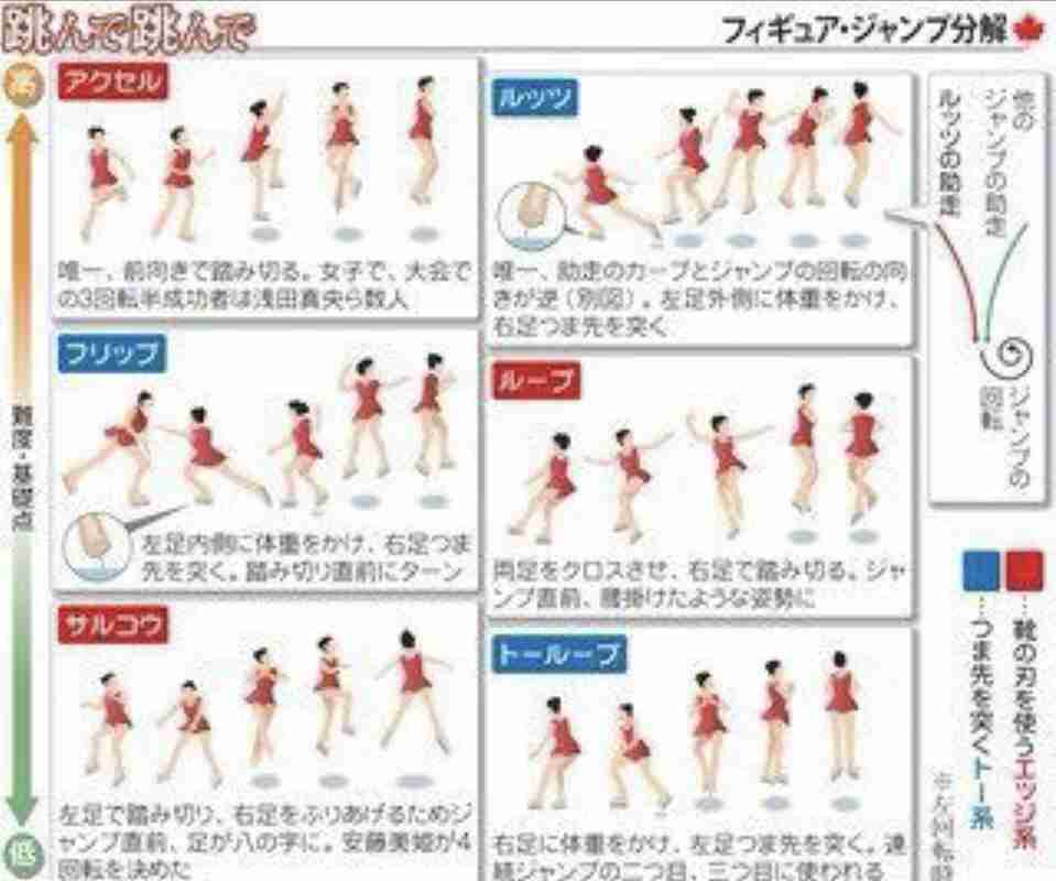 スポーツのルールが分からない