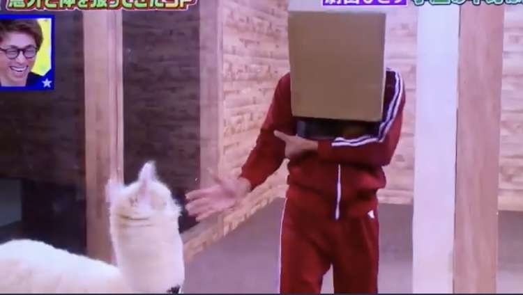 テレビを見ていて爆笑したシーンpart2