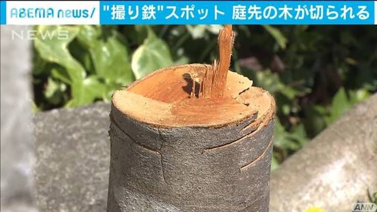 ヤバい犯行動機