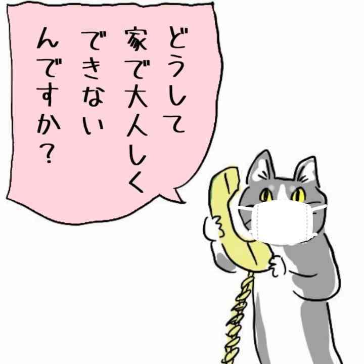 【ペット】最近、お迎えした人集まれ!