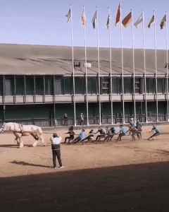 騎手が「馬の顔蹴る」動画が物議、ばんえい競馬「許される行為ではない」と処分へ