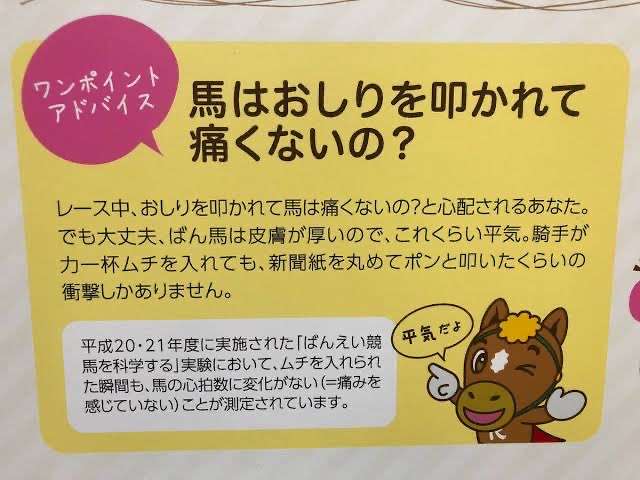 騎手が「馬の顔蹴る」動画が物議、ばんえい競馬「許される行為ではない」と処分へ