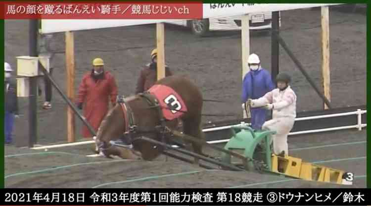 騎手が「馬の顔蹴る」動画が物議、ばんえい競馬「許される行為ではない」と処分へ