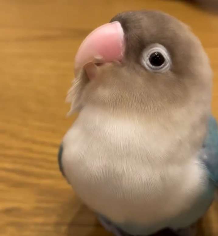 性格が悪い自分を直したいです