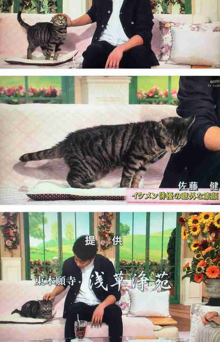 佐藤健、サントリーウイスキー「知多」新CMに