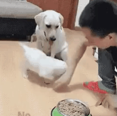 人にされて嬉しいこと
