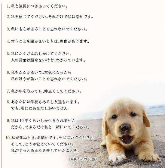 ペットの看取りについて