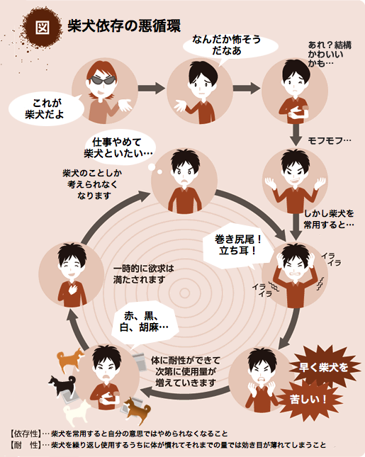 飼いたい犬種をコメントしたら飼っている人が疑問に答えてくれるトピ
