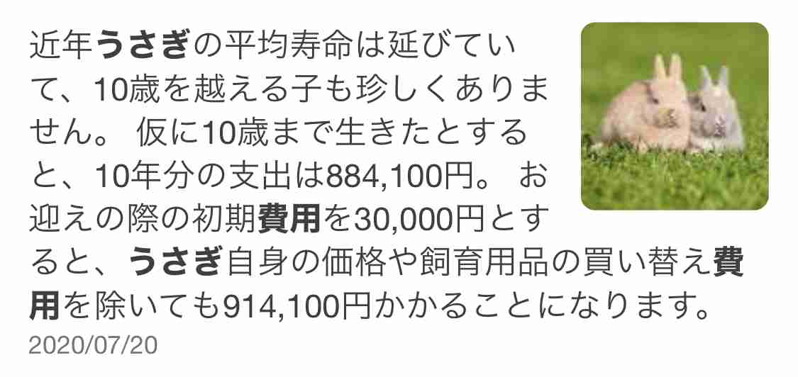 犬や猫の飼い主必見 生涯かかる費用に「思わぬギャップ」も？