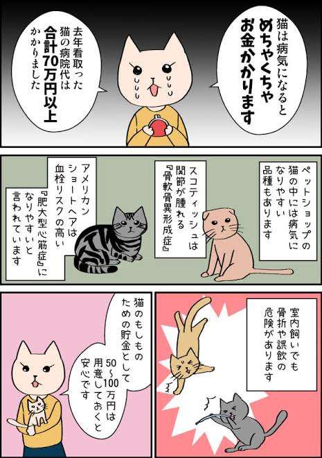 犬や猫の飼い主必見 生涯かかる費用に「思わぬギャップ」も 