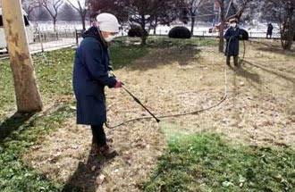 隣の芝生が青すぎる