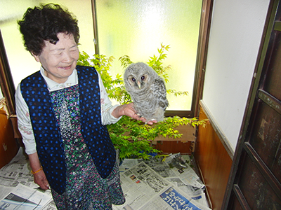 森山良子 家に住みついた小木