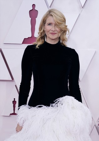  ［実況・感想］第93回アカデミー賞授賞式