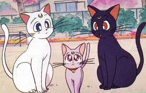 身近にいたら嬉しいアニメのキャラ