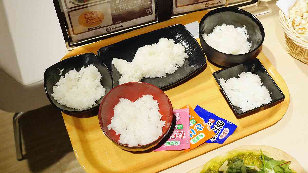 給料日前のごはん